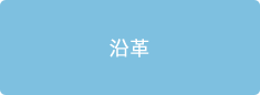 沿革