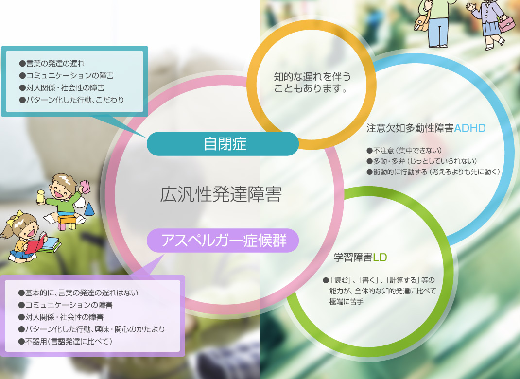 自閉症、アスペルガー症候群、学習障害LD、注意欠如多動性障害ADHD、知的な遅れを伴うこともあります